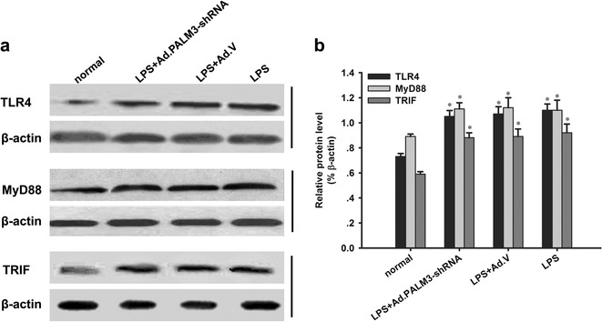 Fig. 9