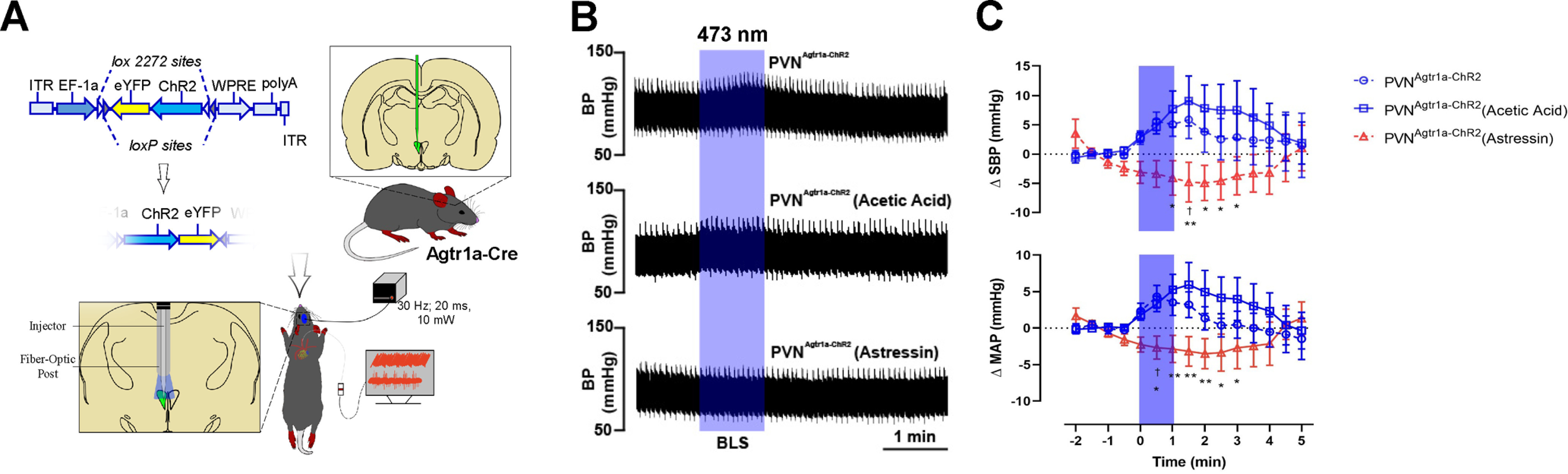 Figure 10.