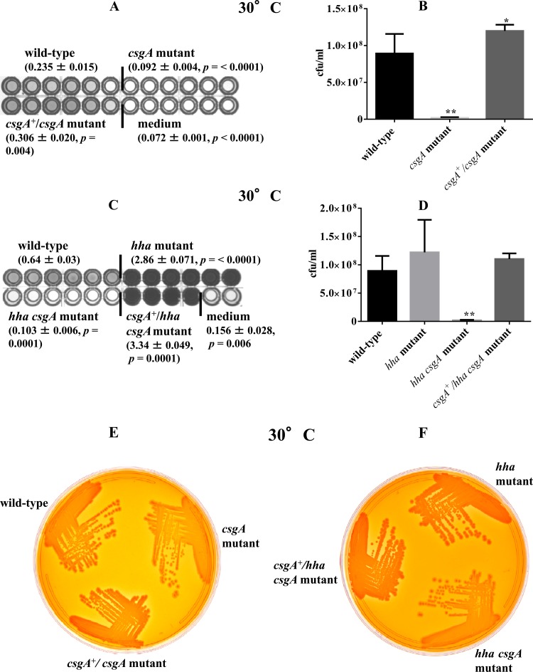 Fig 5