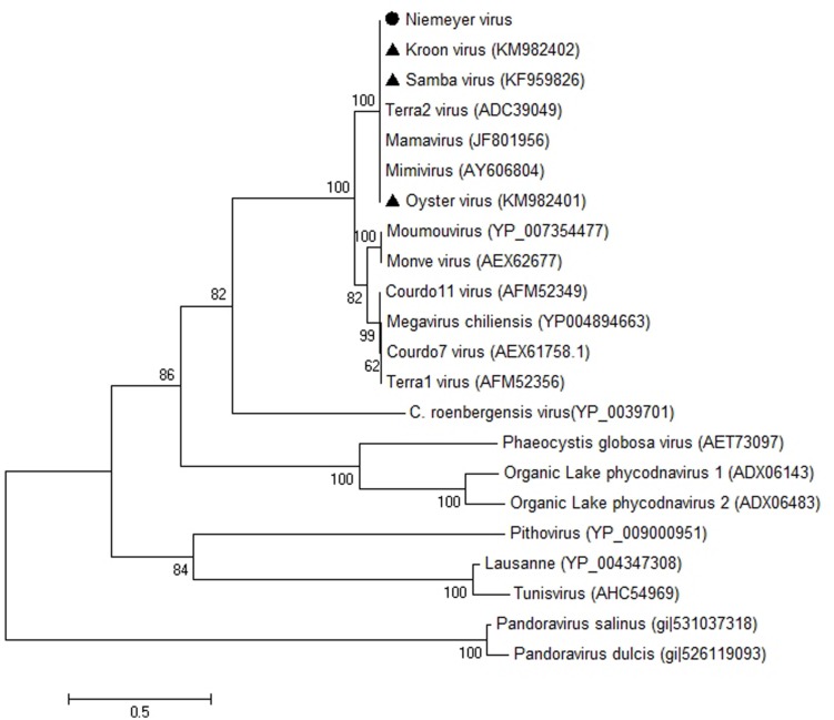 FIGURE 6