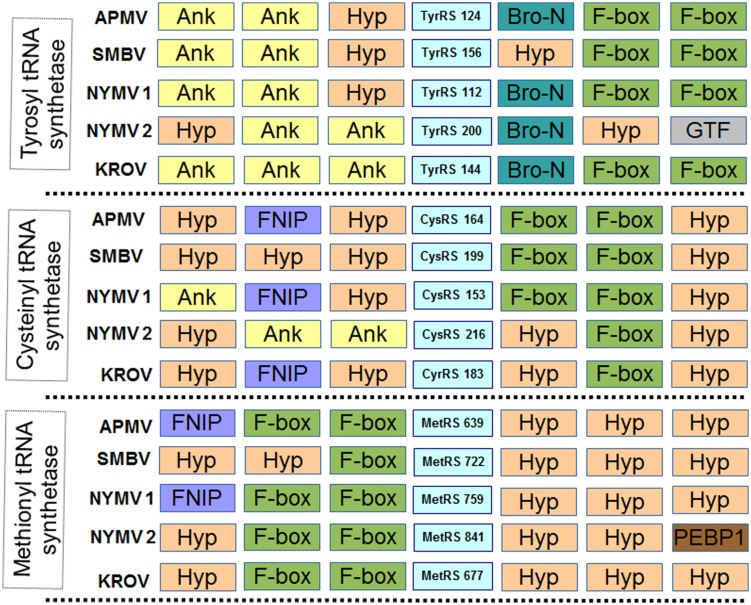 FIGURE 3