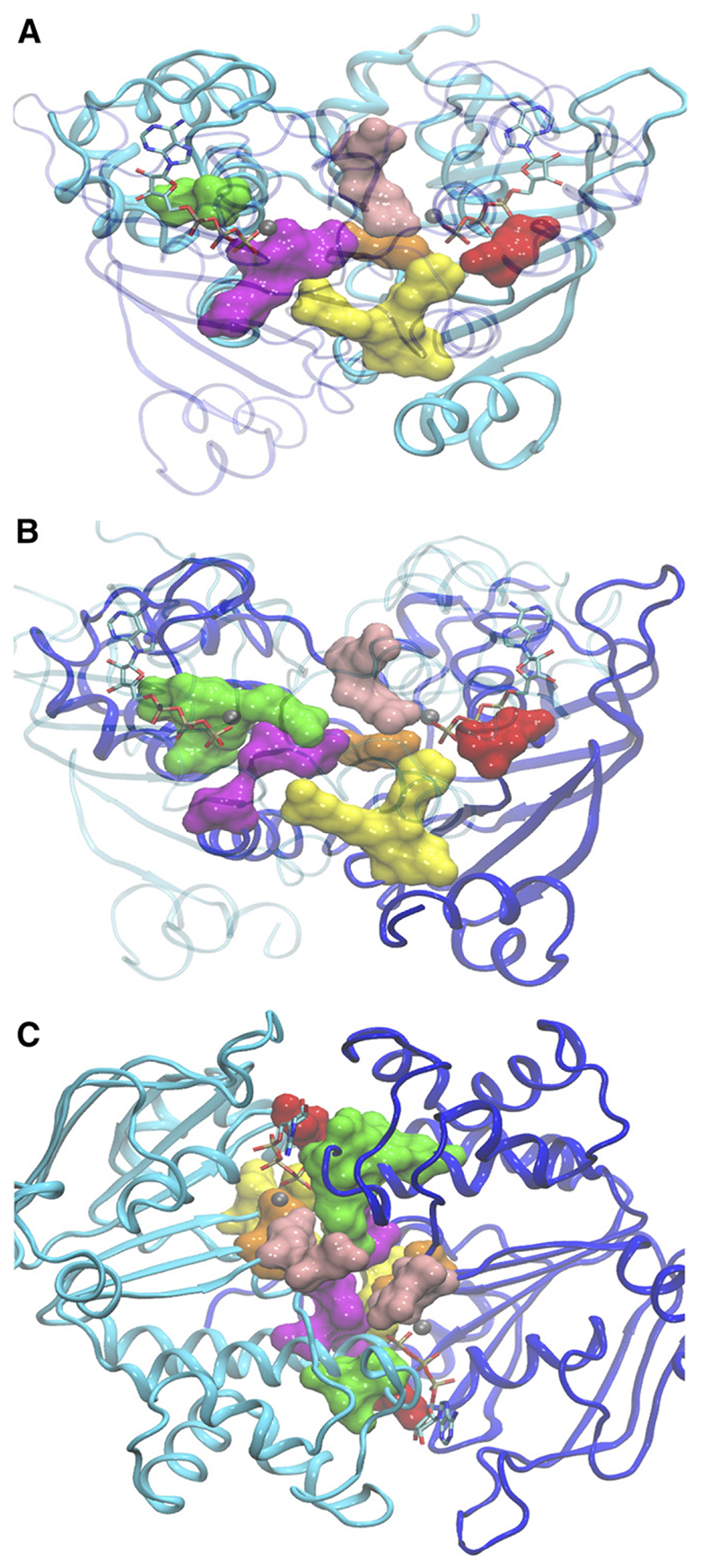 Fig. 1