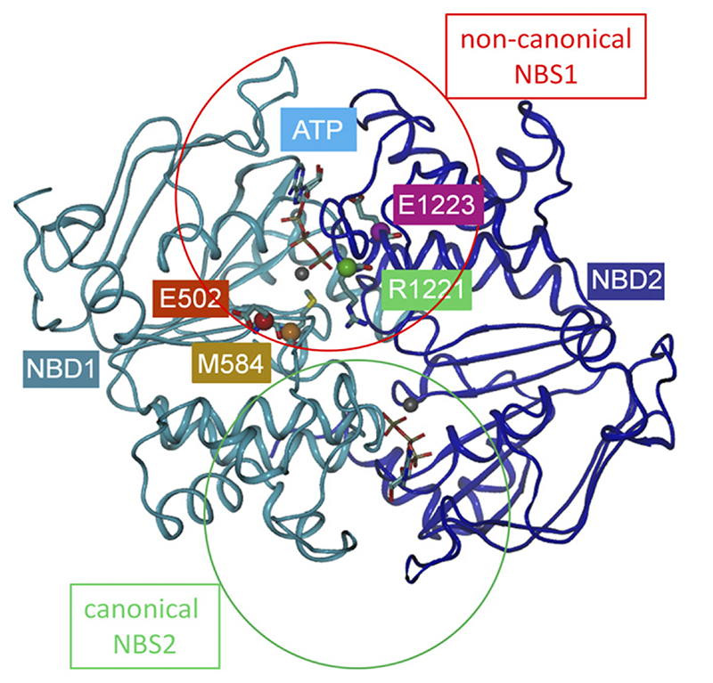 Fig. 2