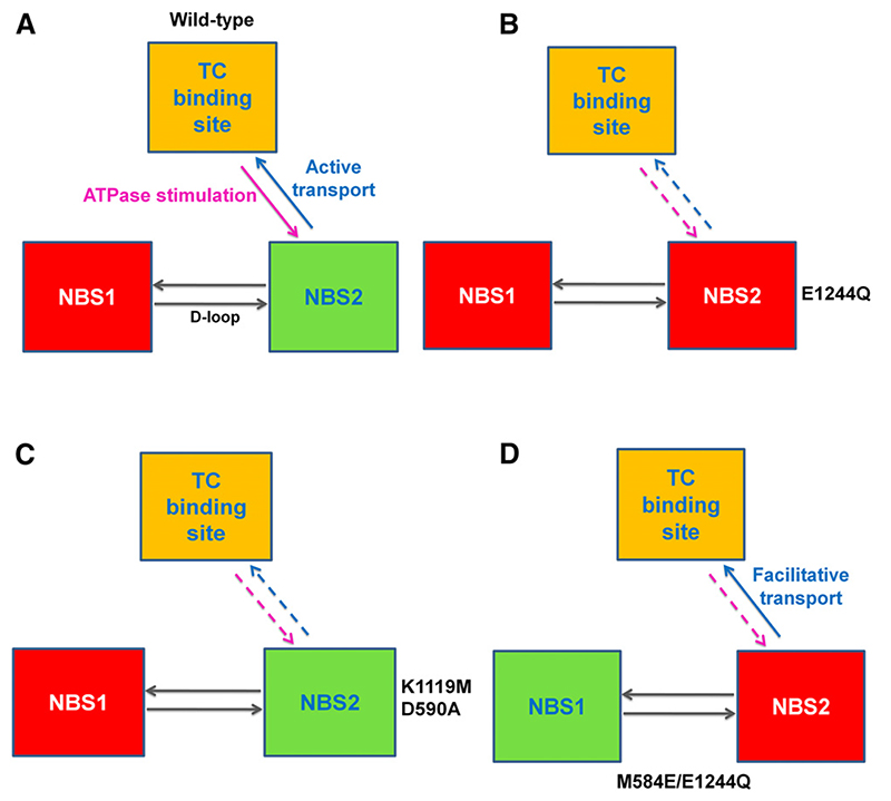 Fig. 11