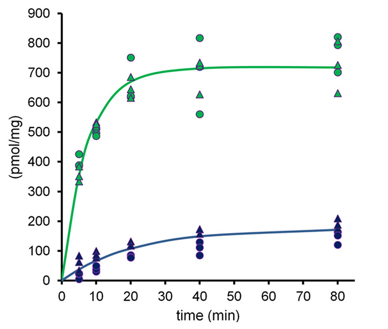 Fig. 9