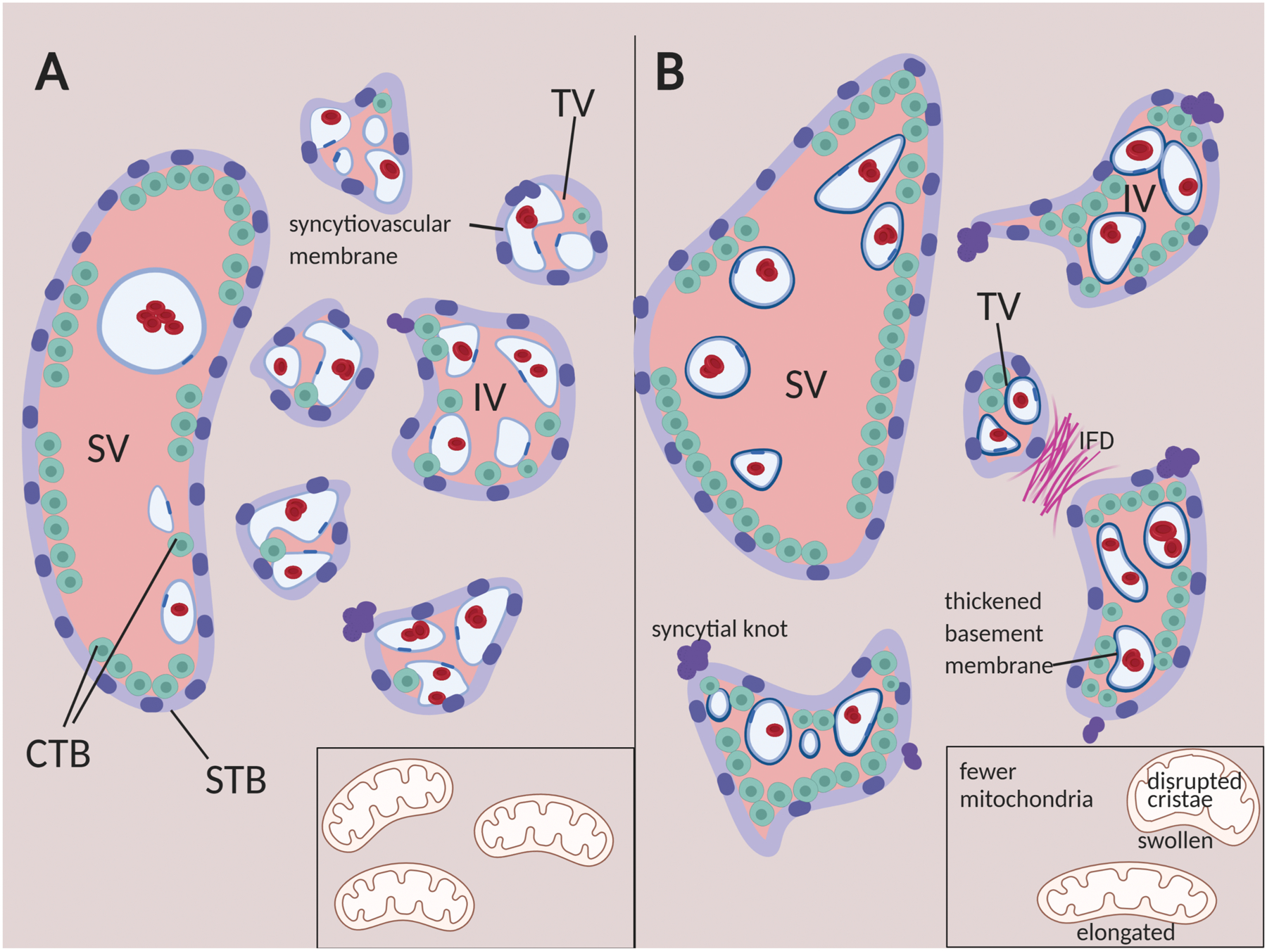 Figure 2: