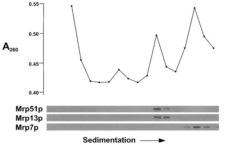 FIG. 5