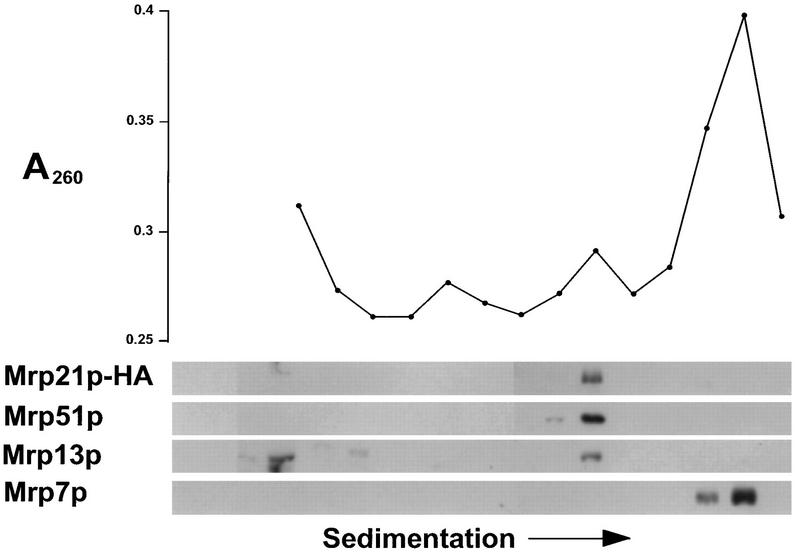 FIG. 6