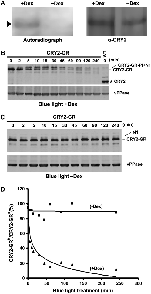 Figure 6.