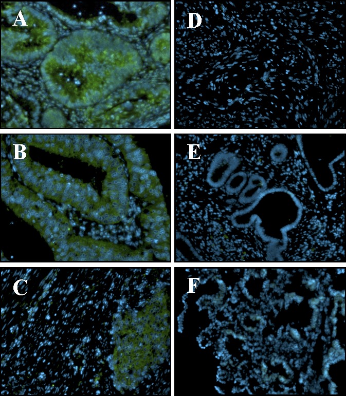  FIG. 7.