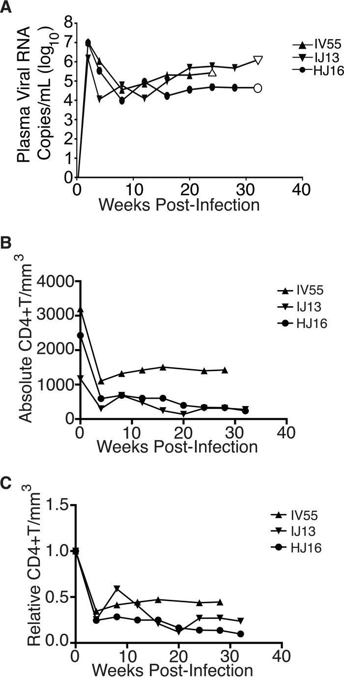 FIG 4 