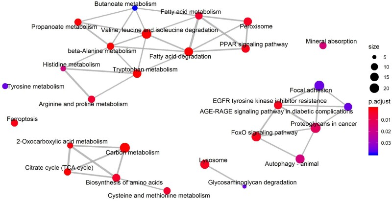 FIGURE 6: