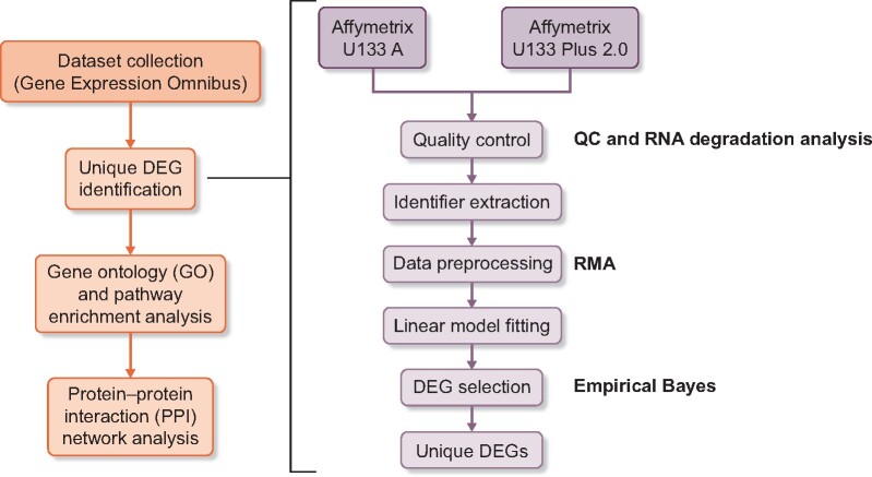 FIGURE 1: