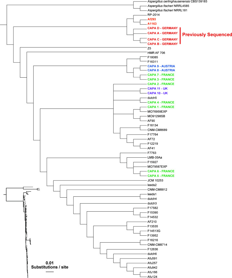 FIG 1