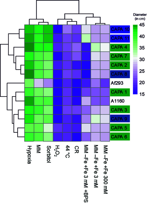 FIG 2