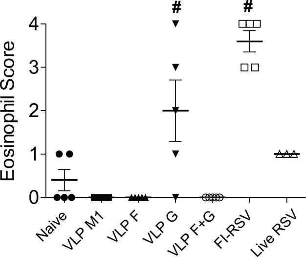 FIG 6