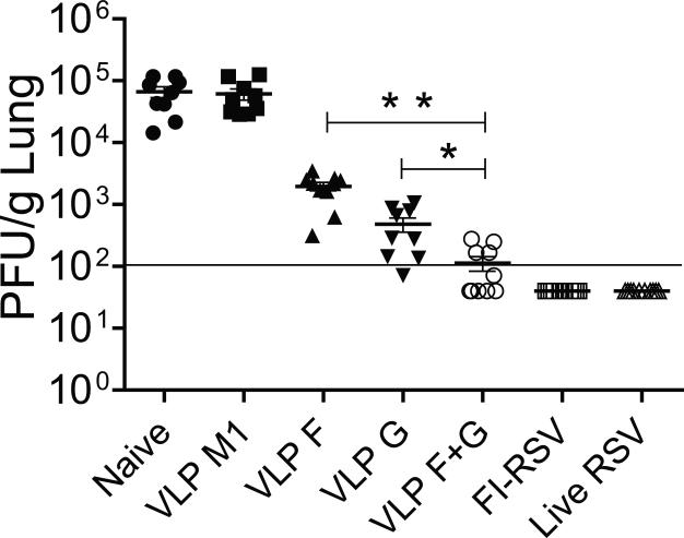 FIG 1