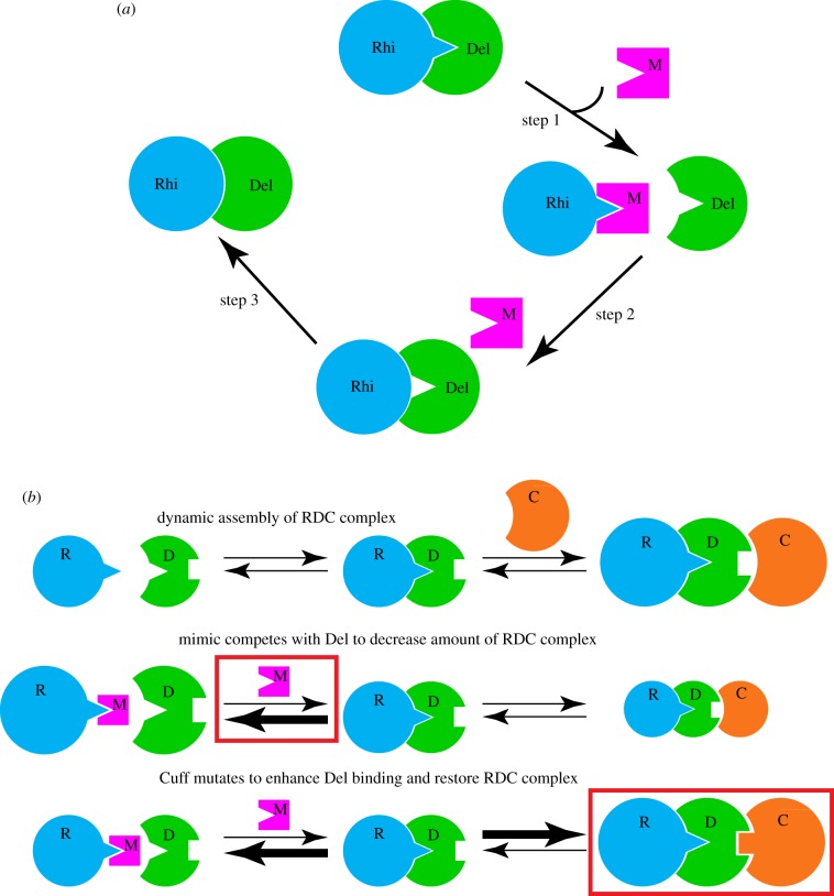 Figure 4.