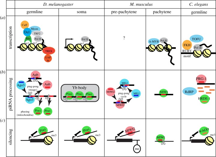 Figure 3.