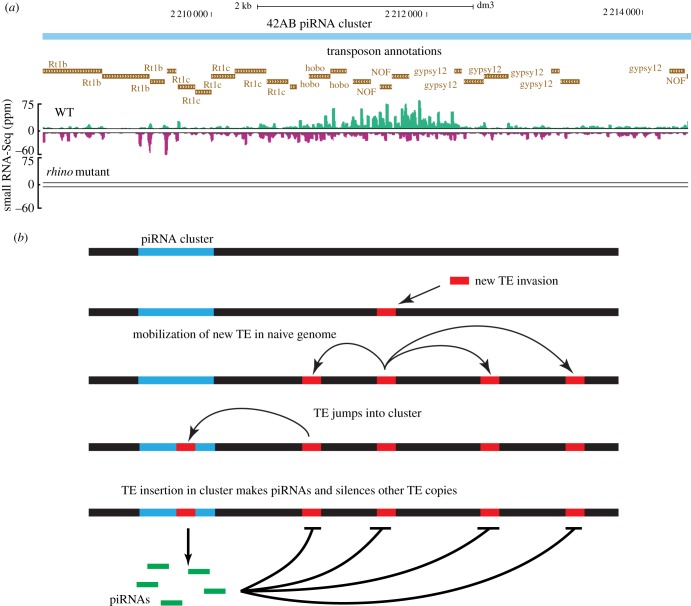 Figure 2.