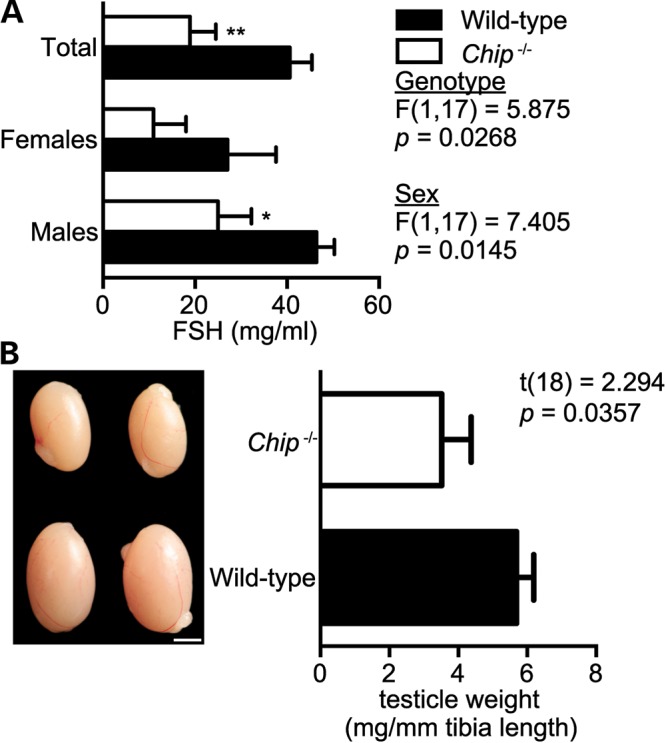 Figure 6.