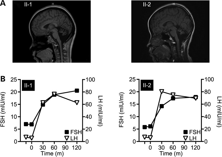 Figure 1.