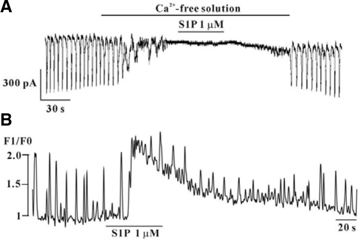 Fig. 7.