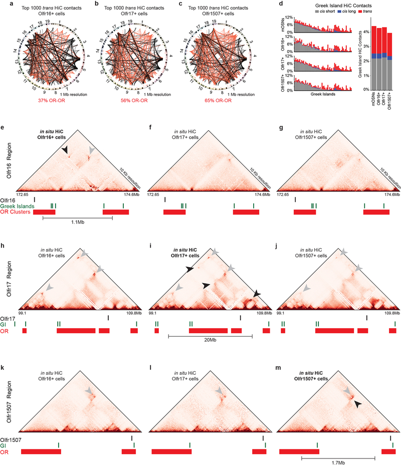 Extended Data Figure 8: