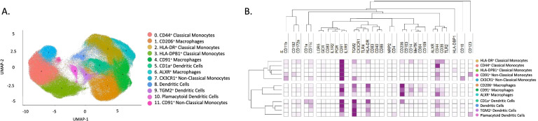 Fig. 3.