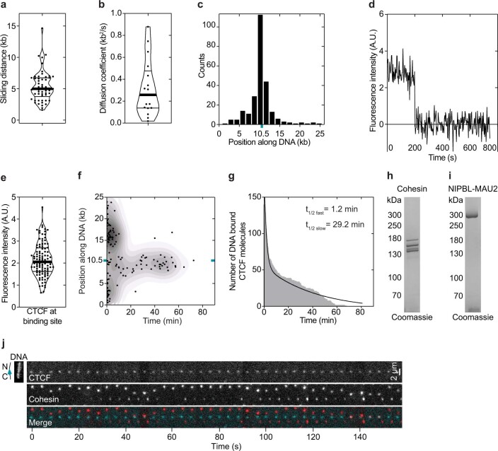 Extended Data Fig. 1