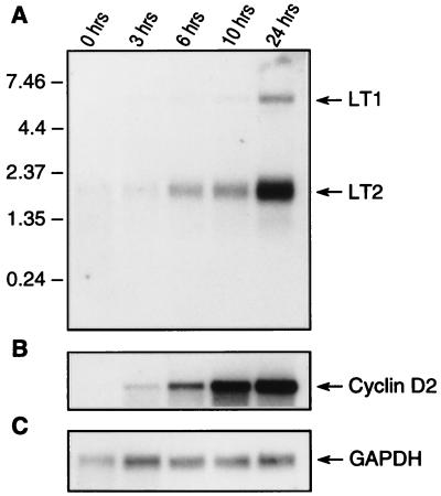 FIG. 8