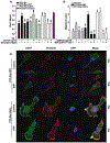 Figure 6: