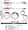 Fig. 1