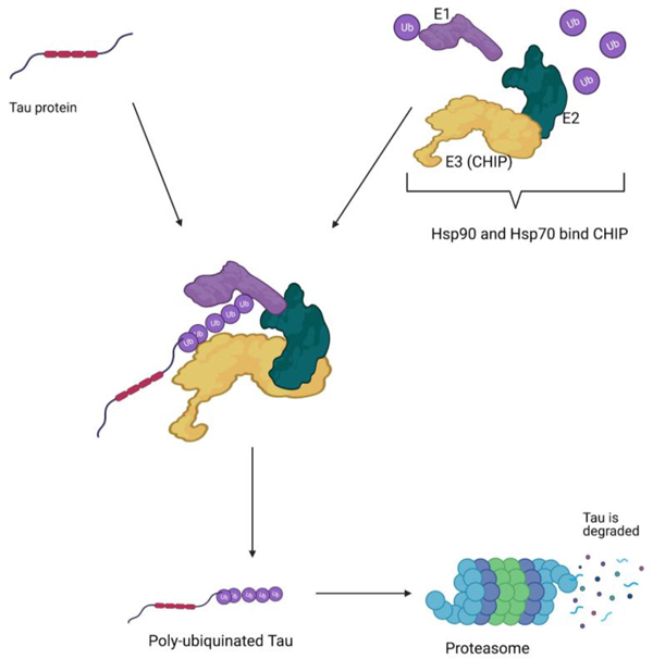 Figure 3.