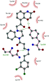 Fig. 19