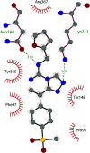 Fig. 14