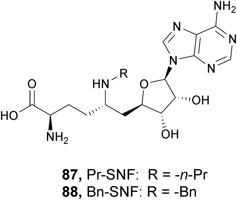 Fig. 22