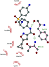 Fig. 21