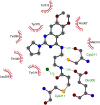 Fig. 25