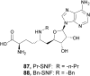 Fig. 22