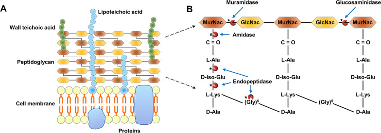 Fig. 3