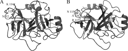 FIGURE 9.