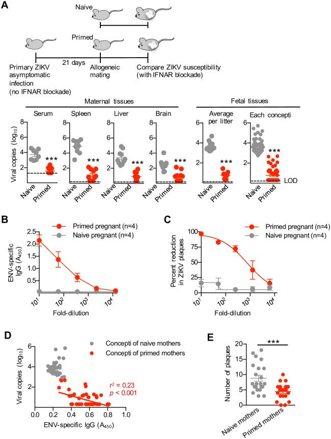 Fig 4