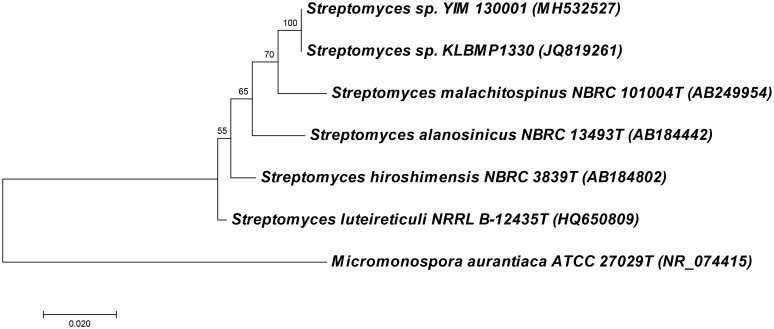 FIGURE 1