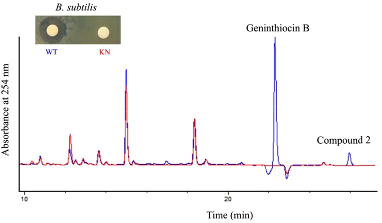 FIGURE 2