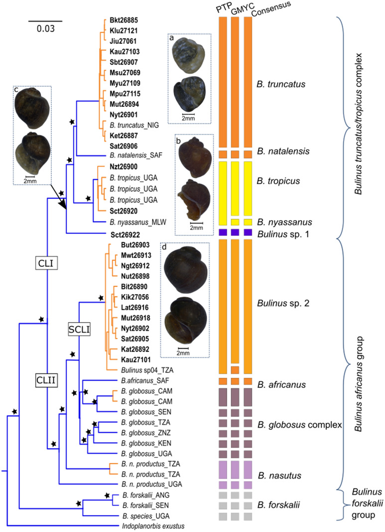 Fig. 2