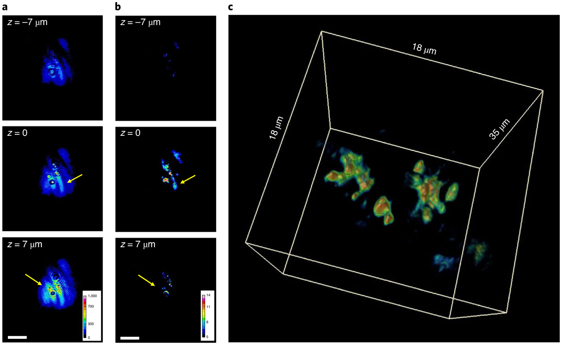 Fig. 4 |