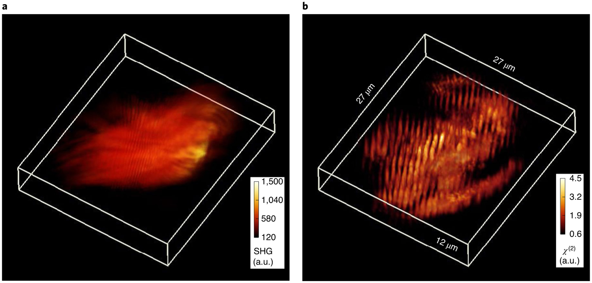 Fig. 5 |