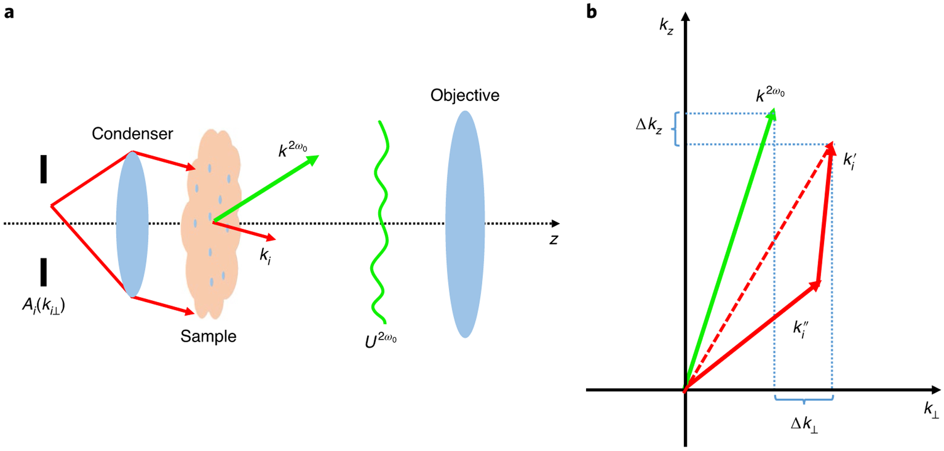 Fig. 2 |