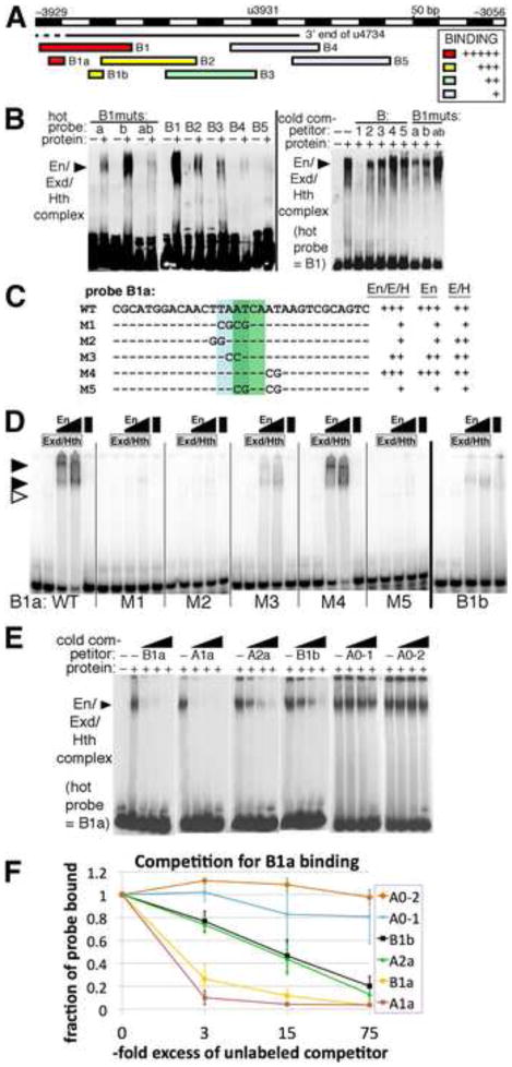 Fig. 6